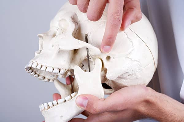 doctor showing temporomandibular joint Doctor holding a synthetic skull and pointing at temporomandibular joint (articulation temporomandibularis).